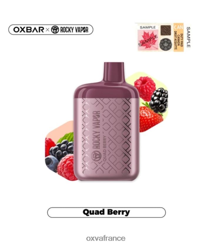 OXVA France - 6HT0Z31 baie quadruple OXVA OXBAR 4500