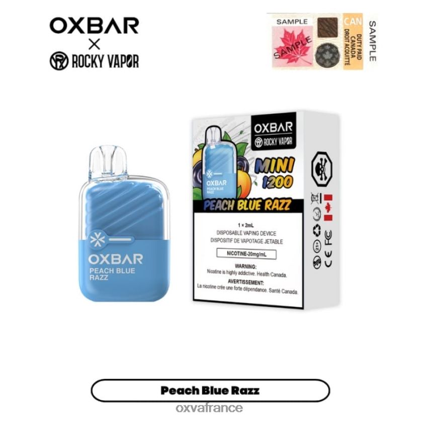 OXVA Disposable Pod - 6HT0Z20 glace aux raisins 2 OXVA OXBAR MINI 1200